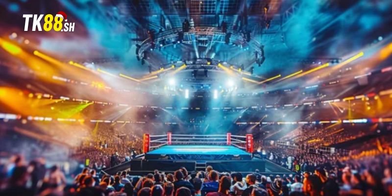 Hướng dẫn tân thủ tham gia kèo knock-out quyền anh 
